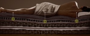 Correct Sleeping Position