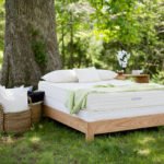 Savvy Rest Serenity Mattress