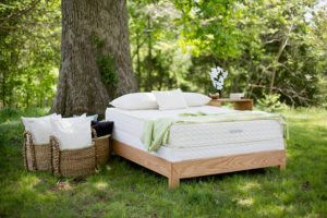 Savvy Rest Serenity Mattress