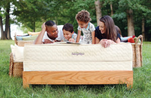 Savvy Rest Serenity Mattress
