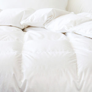 Cuddle Down Chinook Down Duvet