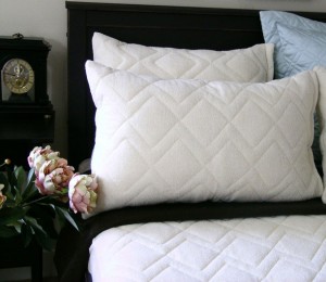 St. Dormeir Natural Wool Pillow Protector