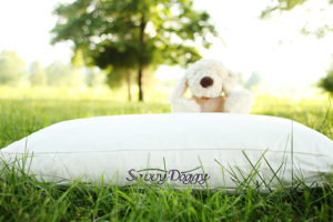 Savvy Rest Savvy Doggy Bed
