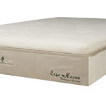 green sleep dolcezza grande plush