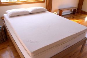 Savvy Rest Vitality Topper