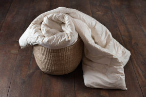 Soma Organic All Season Comforter