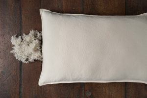 Soma Organic Wool Pillow