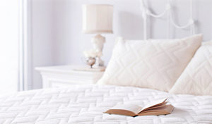 St Dormeir Natural Pillow Protector