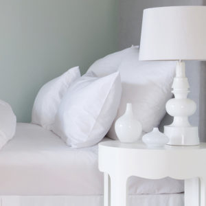 St Geneve Embassy Down Pillow