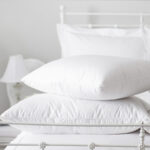 St Geneve Chateau Pillow