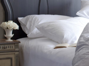 St Geneve Organic Pillow Protector