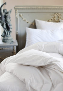 St Geneve Ziegler Down Duvet