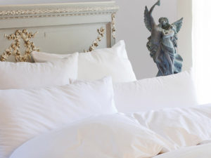 St Geneve Ziegler Down Pillow