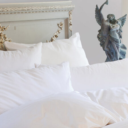 St Geneve Ziegler Down Pillow