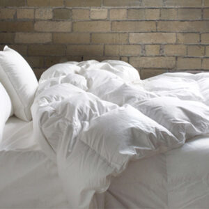 Cuddle Down Aurora Duvet