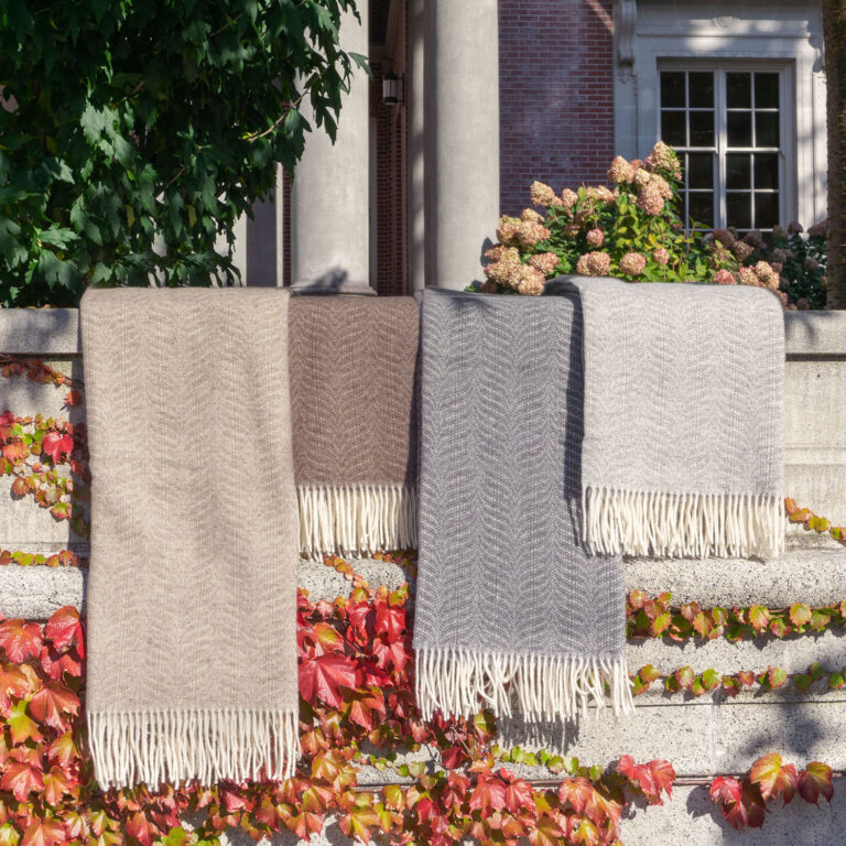 St Geneve Zola Wool Throw