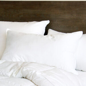 Cuddle Down St Moritz Pillow