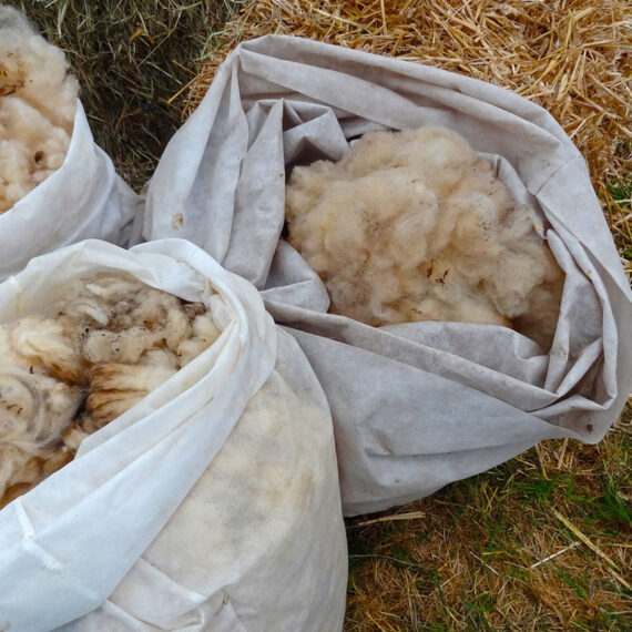 soma-organic-wool-03