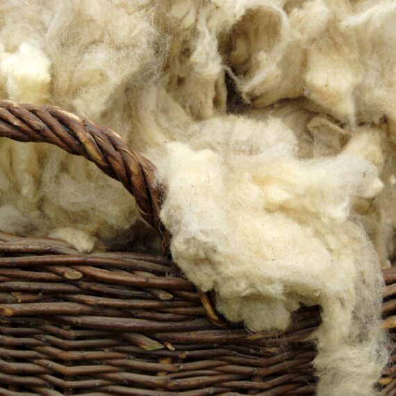 soma-organic-wool-04