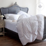 St Geneve Genuine Eiderdown Duvet (Cotton Cover)