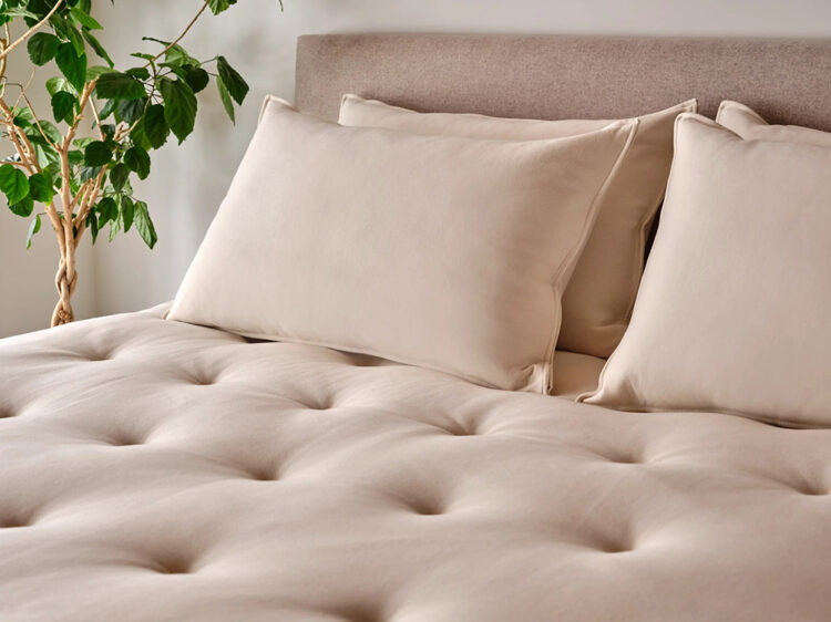 Soma Organic Lux Plush 12 Mattress