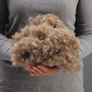 St Geneve Genuine Eiderdown Pillow