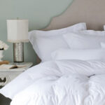 Soma Everest Canadian Down Duvet