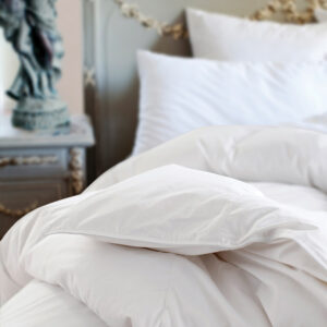 St Geneve Ziegler Down Duvet