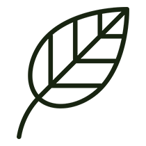 soma-organic-healthy-sleep-environment