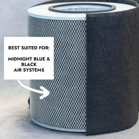Austin Air Healthmate Filter