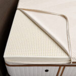 Soma Organic Talalay 3 Topper